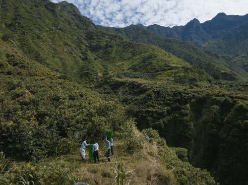 2023_MULTI_PURPOSE_BALM_V2_PERU_CAMPAIGN_PICTURES_HARVEST_47 - Mustela Multi-market - 1